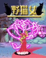 应用封面图